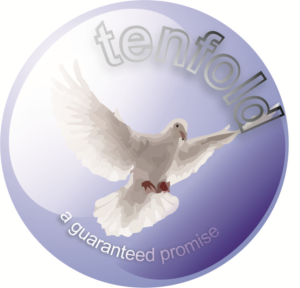Logo Design by Nucklearminde