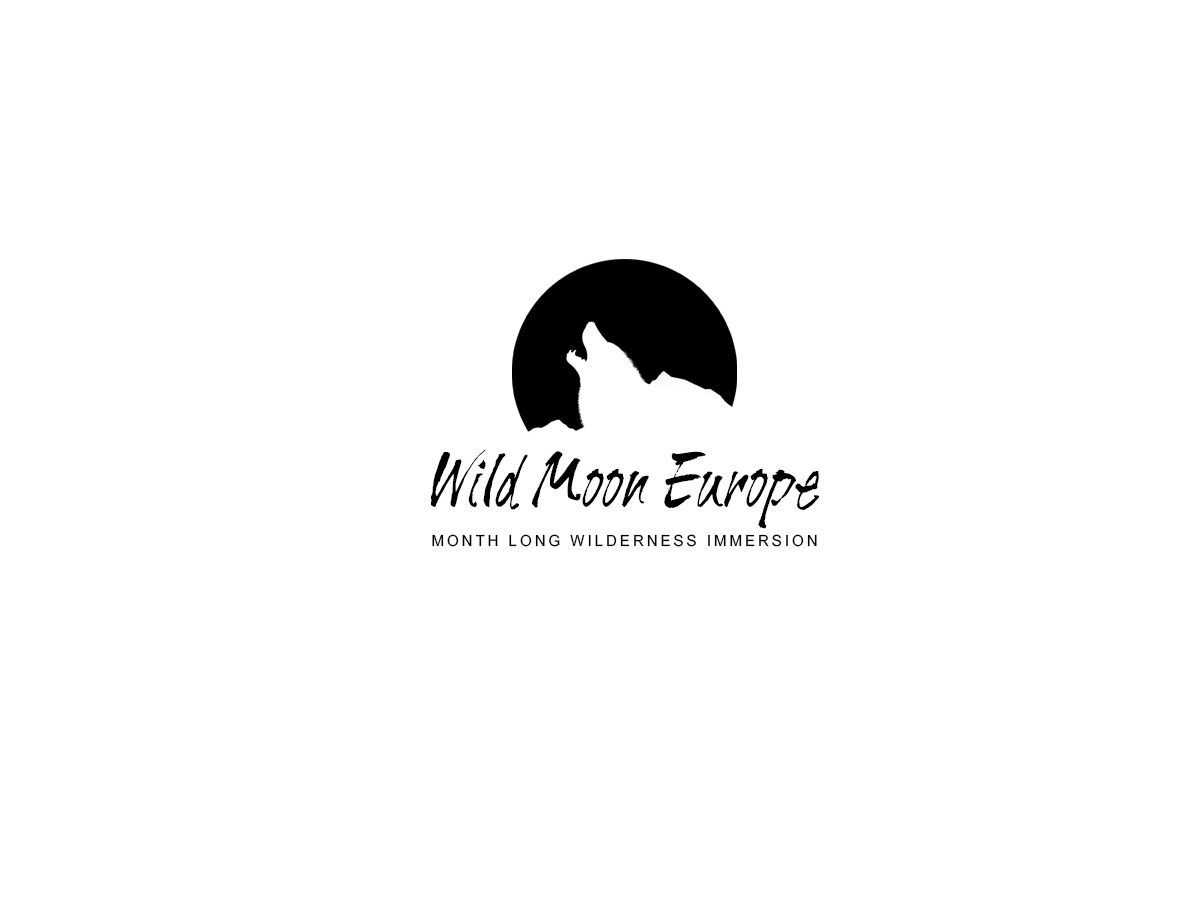 Logo Design by One Pen Design for this project | Design #2869073