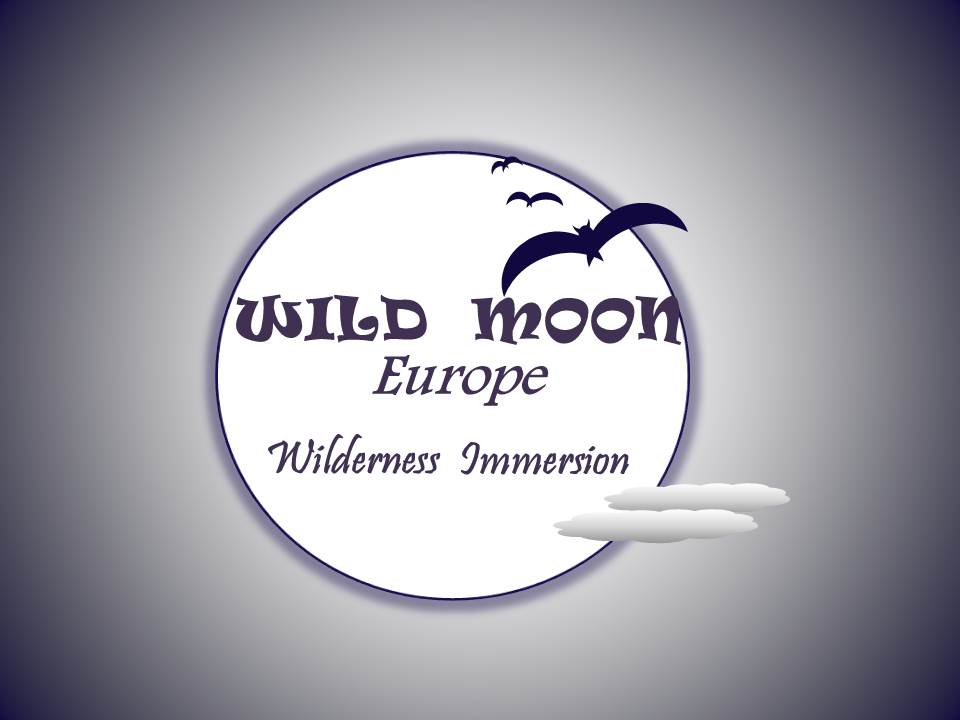 Design de Logo par Jacqueline pour ce projet | Design #2900225