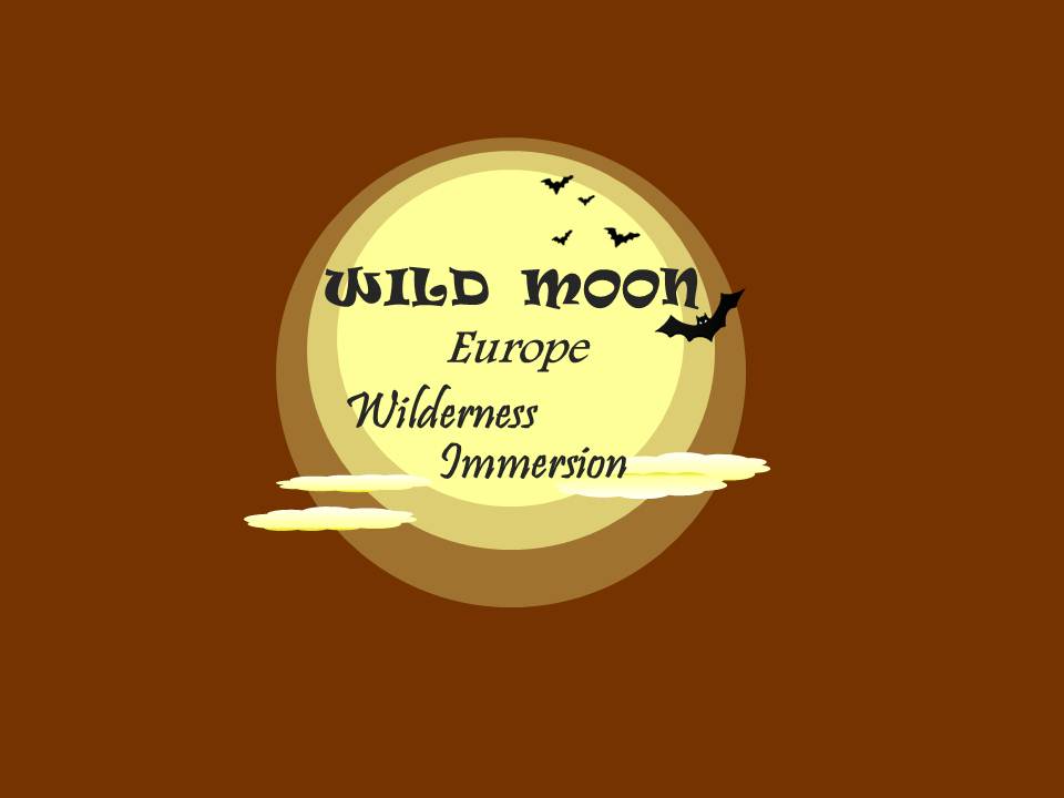 Logo-Design von Jacqueline für dieses Projekt | Design #2903799