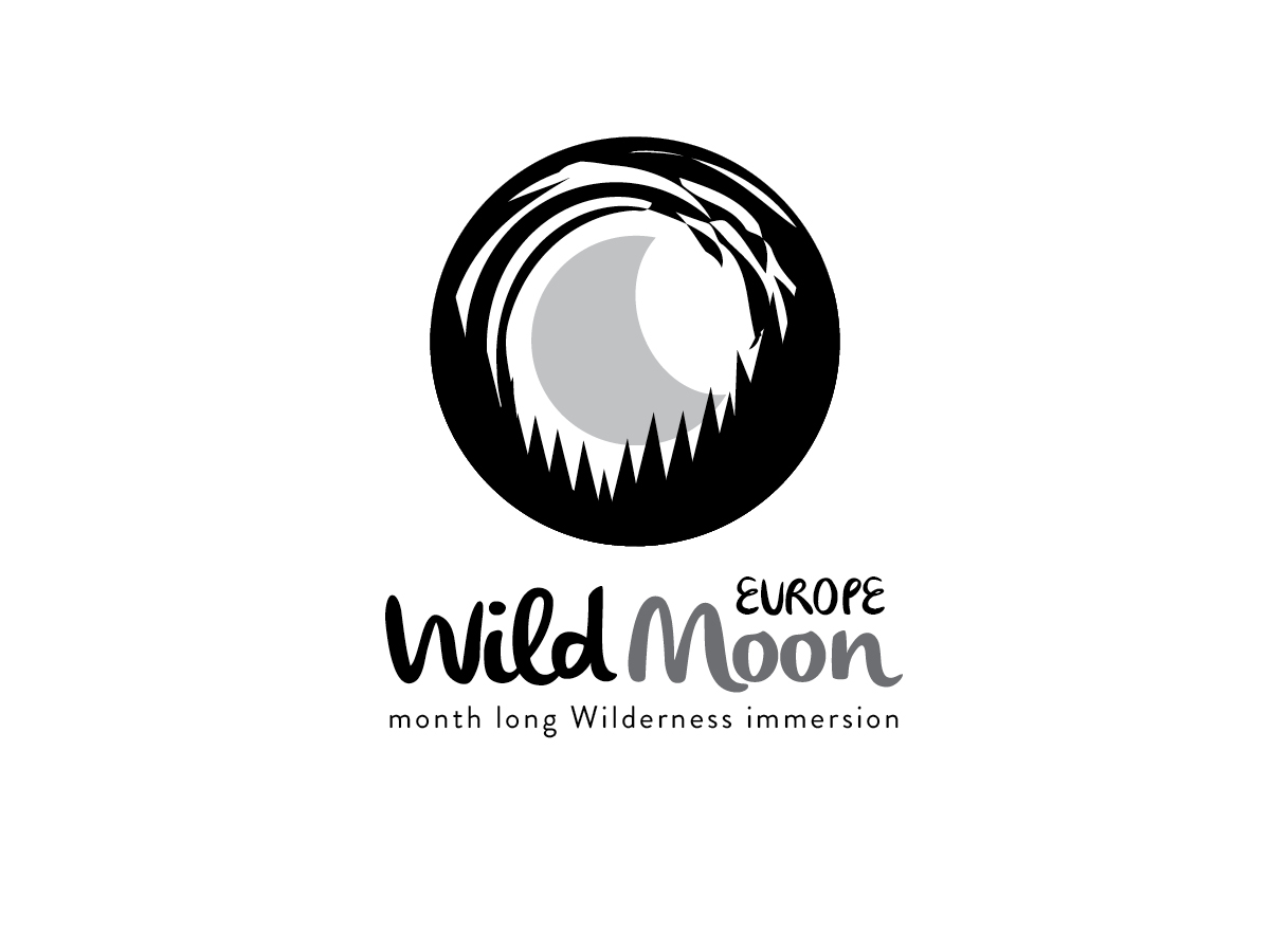 Logo Design by themadfox for this project | Design #2897532