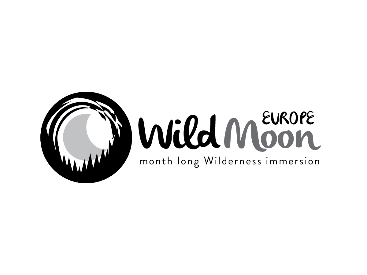 Logo Design by themadfox for this project | Design #2910733