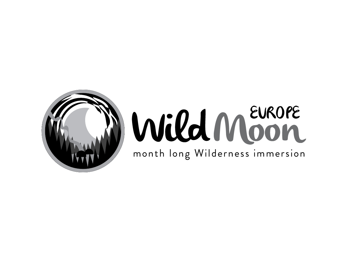Logo Design by themadfox for this project | Design #2961460
