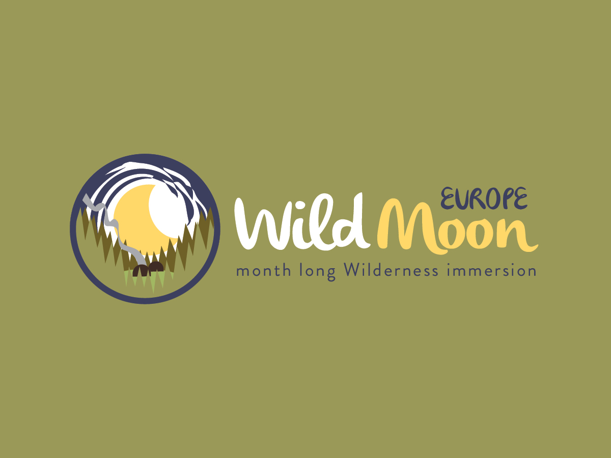 Logo Design by themadfox for this project | Design #2967869