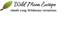 Logo Design by Scott Rippley