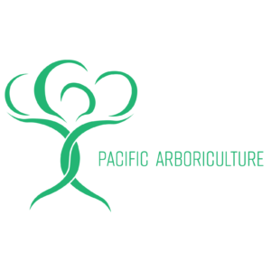 Logo Design by HexJK