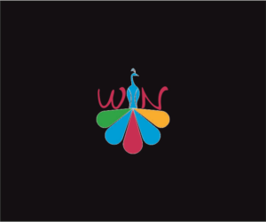 WN | Logo Design by Mihaela