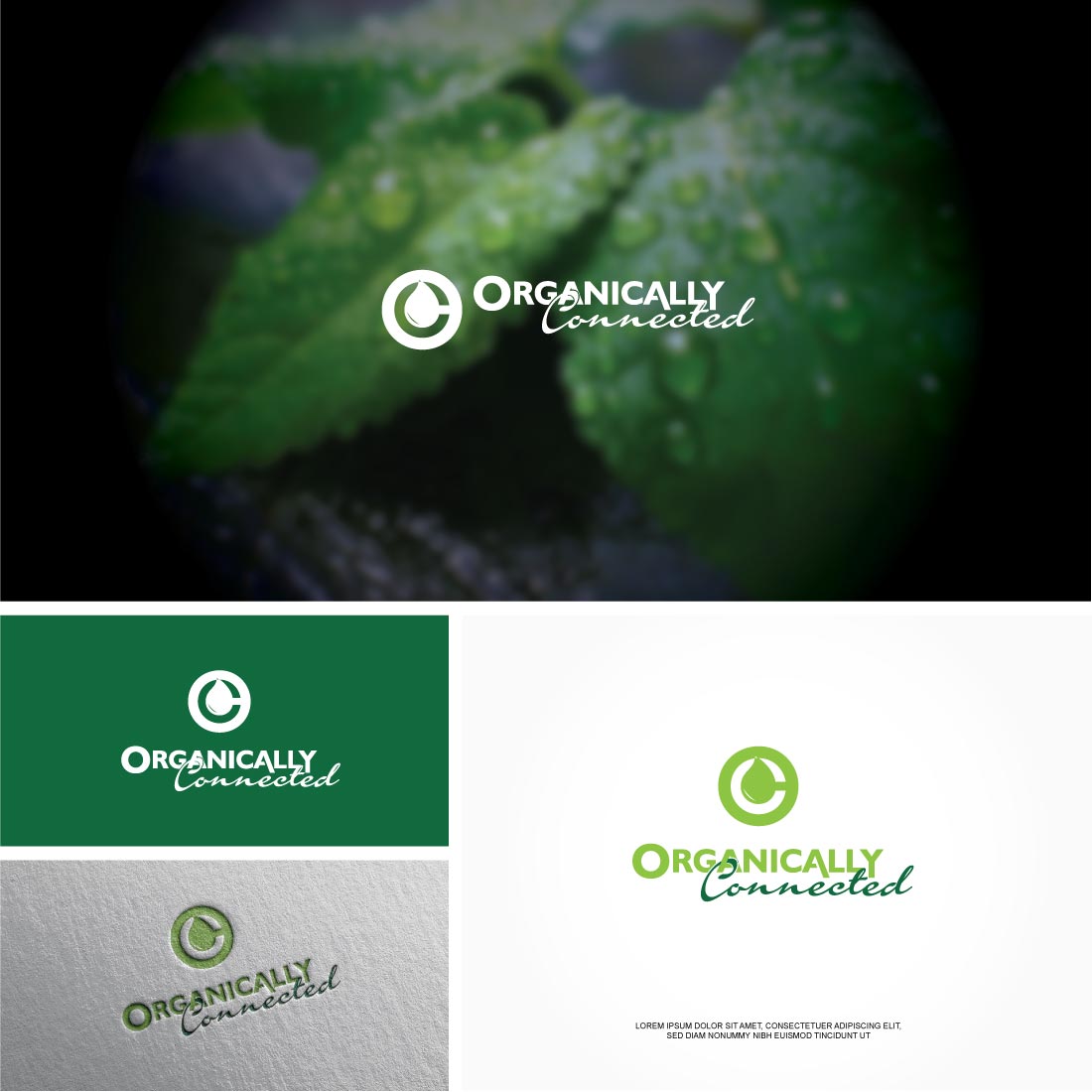 Logo Design by Shigh5 for this project | Design #18972637