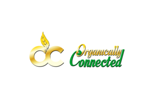 Logo Design by Wonderful design for this project | Design: #18981854