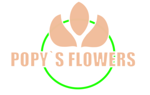 Logo Design by Mohammed 26