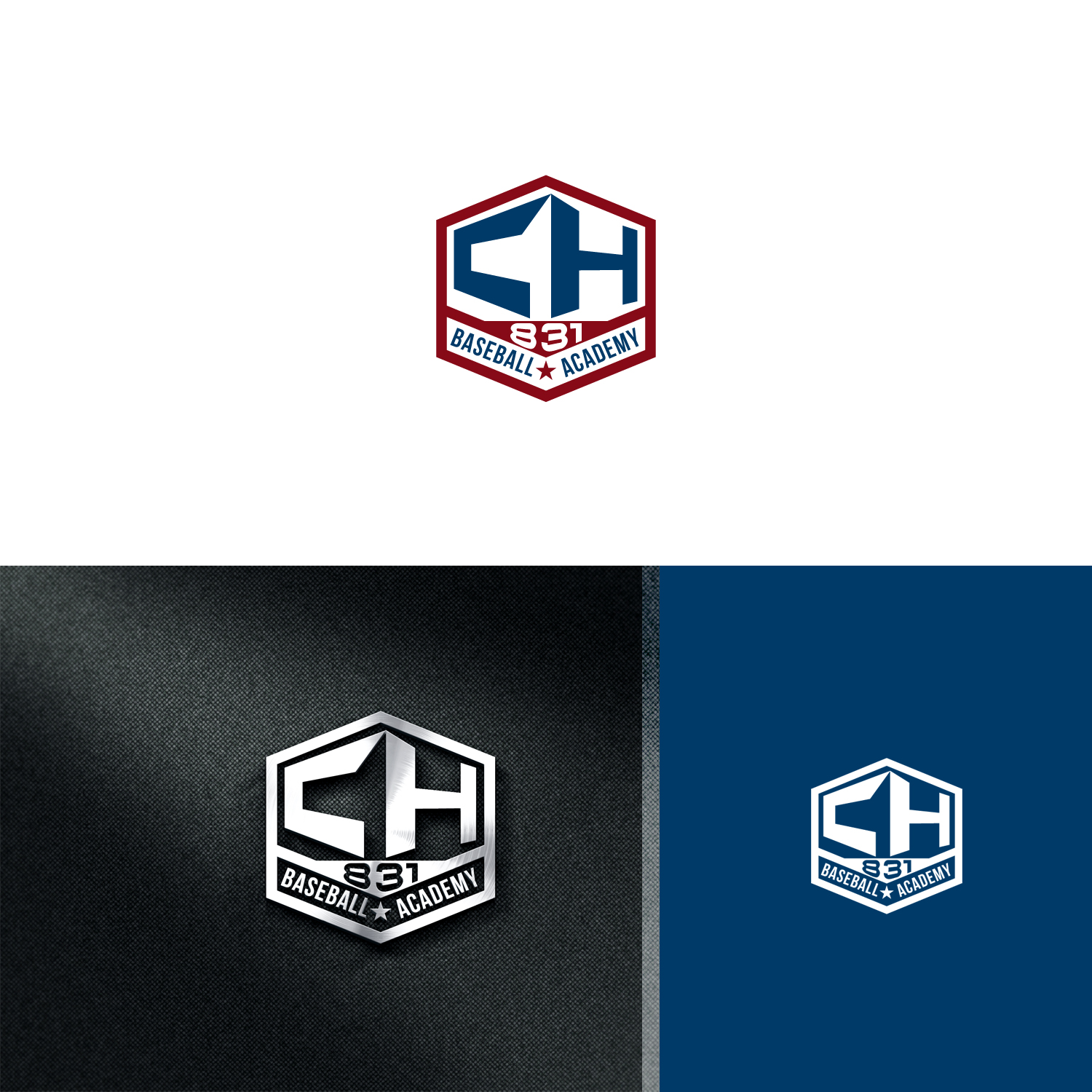 Design de Logo par Maxo-Biz pour ce projet | Design #18974664