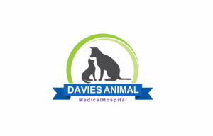 Logo Design by Sizuka