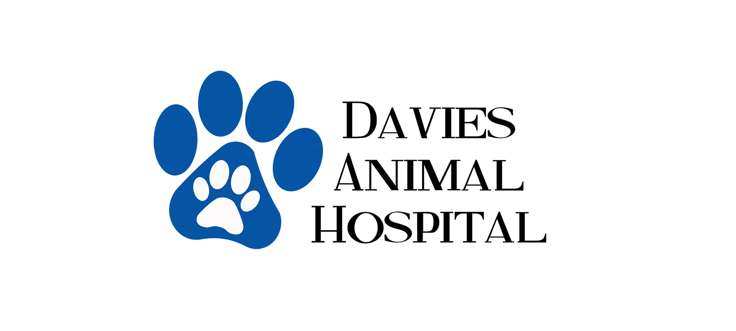 Logo Design by Naira for this project | Design #19061624