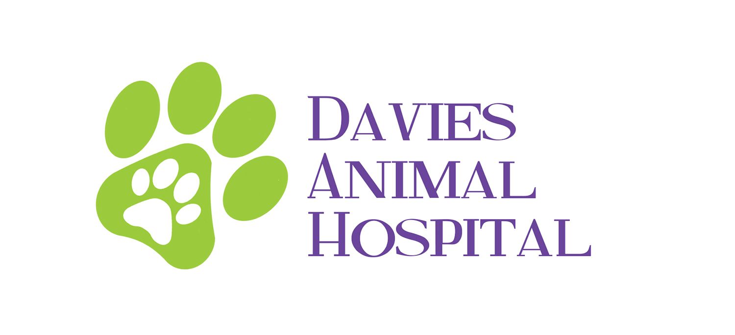 Logo Design by Naira for this project | Design #19061626