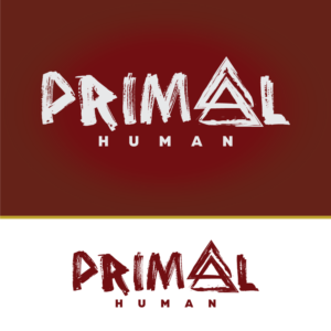 Logo Design by All American Designs