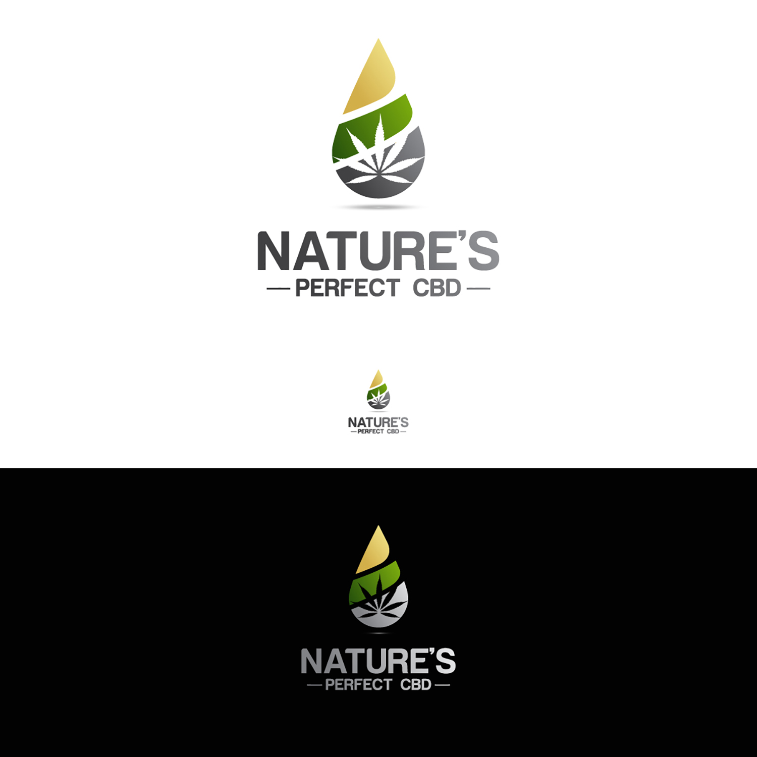 Logo Design by Souvik Roy (Alex Pro) for this project | Design #19507252
