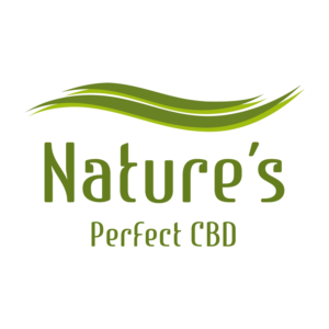 Logo Design by Borosh