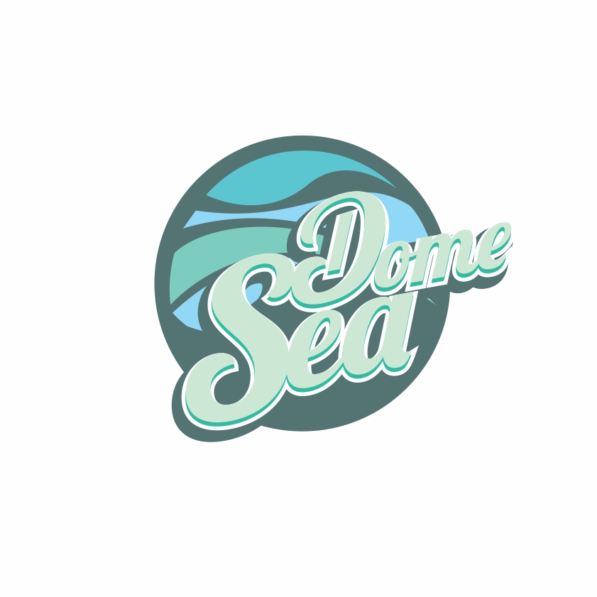 Logo Design by joshgraph for DomeSea Inc | Design #18991321
