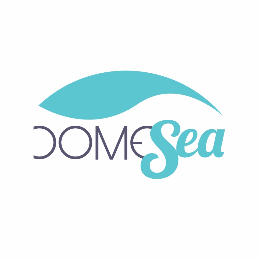 Logo Design by joshgraph for DomeSea Inc | Design #18991322