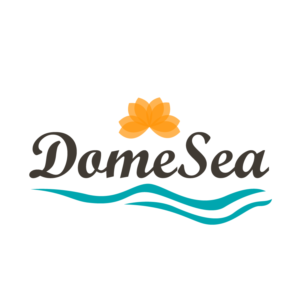 Logo Design by beniwalsuman for DomeSea Inc | Design: #18980139