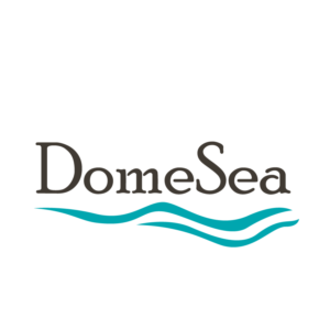 Logo Design by beniwalsuman for DomeSea Inc | Design: #18981424