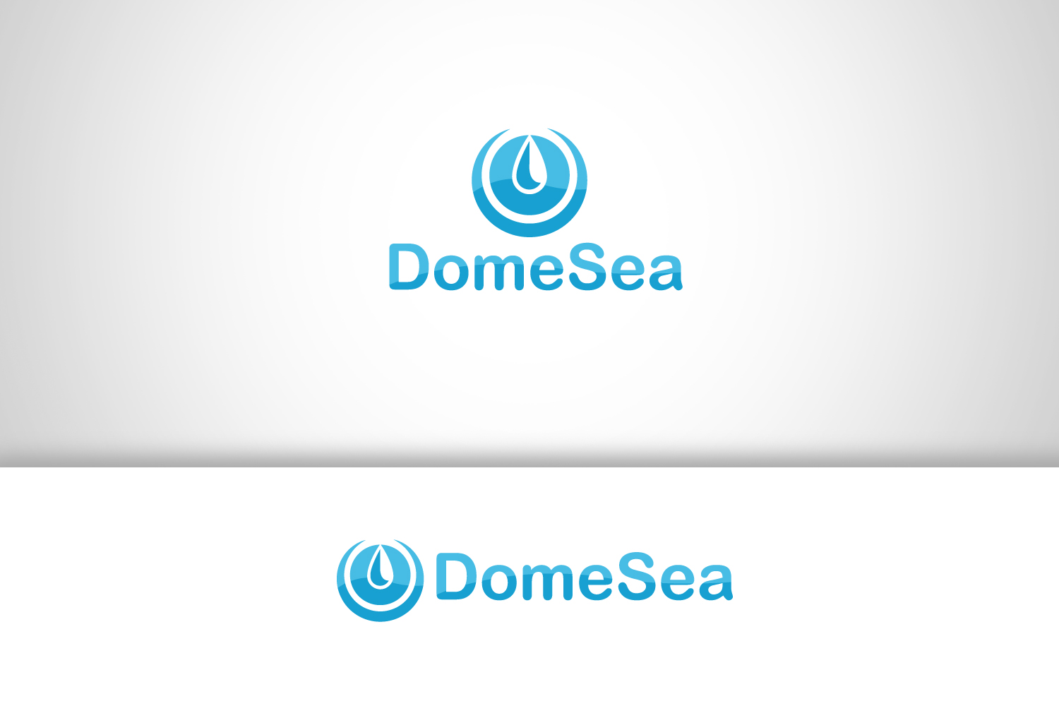 Logo Design by mlngdesign for DomeSea Inc | Design #18980633