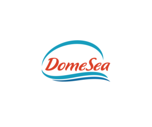 Logo Design by MX-Design for DomeSea Inc | Design: #18981892