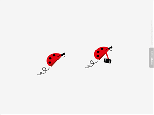 ladybug design