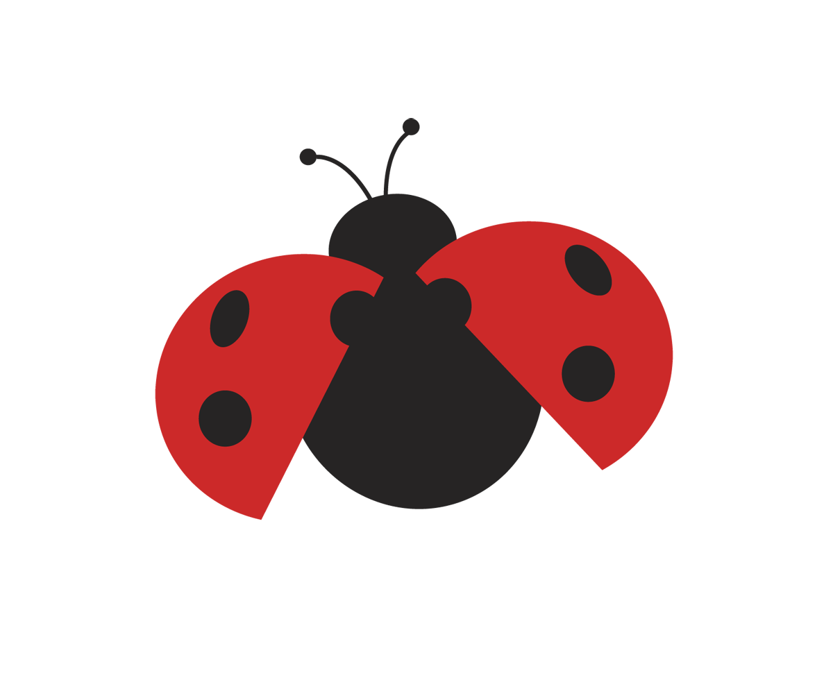 ladybug design resumes