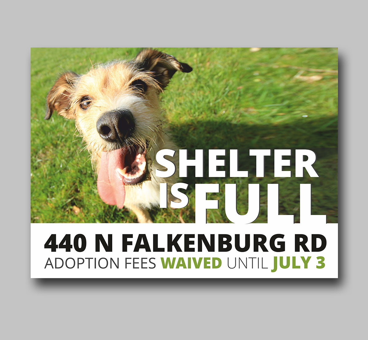 Diseño de Photoshop por ecorokerz para PaperTracker | Diseño #18999812