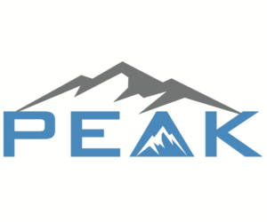 Logo Design by Graphics Ninja