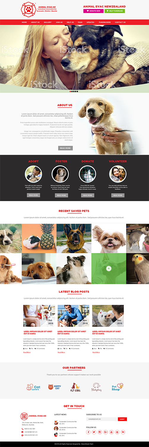 Web Design par Expert Designer pour ce projet | Design #19007414