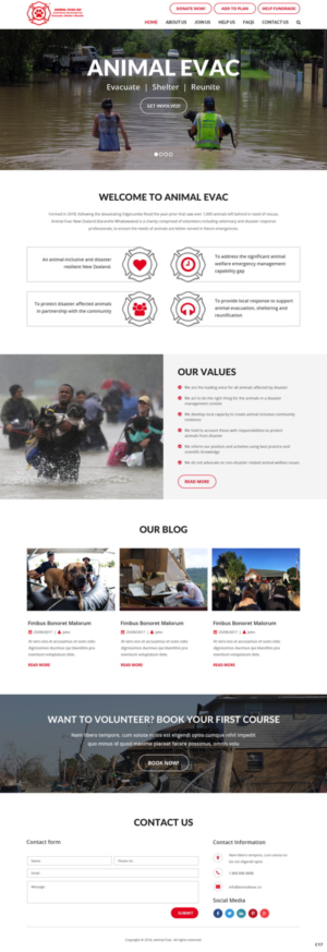 Diseño Web por pb para este proyecto | Diseño: #19013043