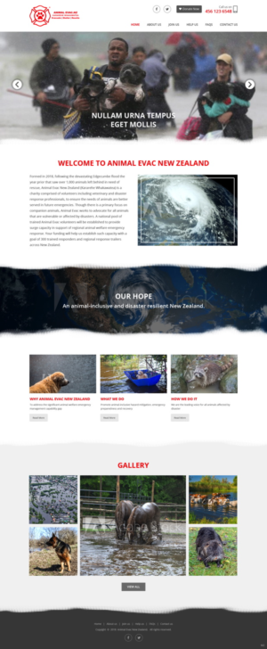 Diseño Web por pb para este proyecto | Diseño: #19013052