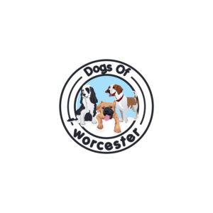 Logo Design by CreativeFlows 2 for this project | Design #19025202