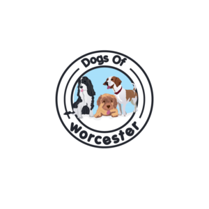 Diseño de Logo por CreativeFlows 2 para este proyecto | Diseño: #19029374