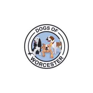 Diseño de Logo por CreativeFlows 2 para este proyecto | Diseño: #19072868