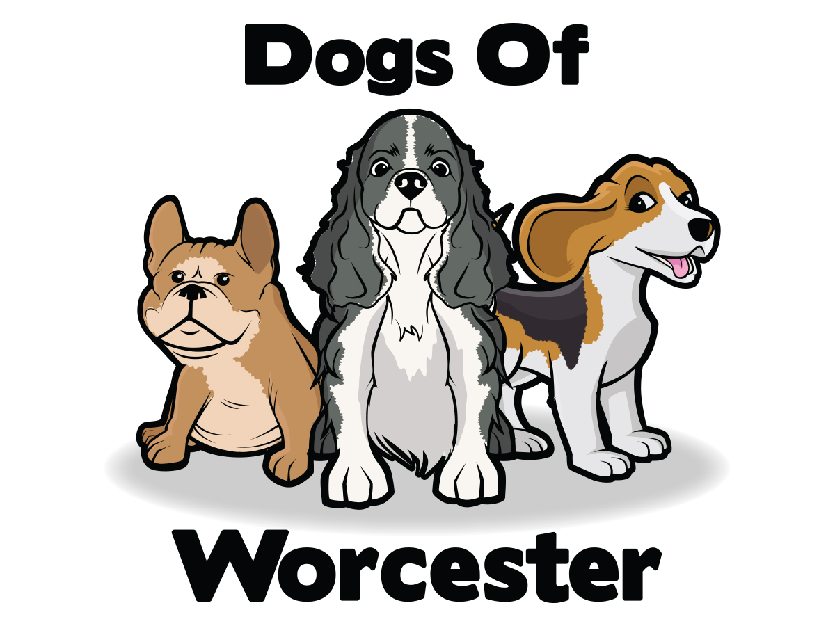 Logo Design by Cody Rostron for this project | Design #19023441