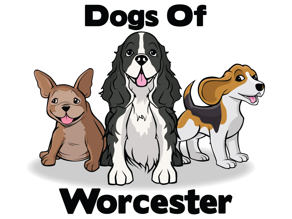 Logo Design by Cody Rostron for this project | Design #19024913