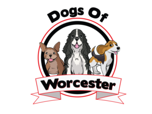 Logo Design by Cody Rostron for this project | Design #19027943