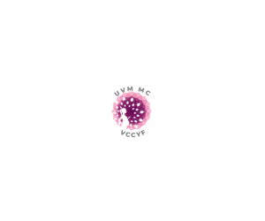 Logo Design by King Cozy for University of Vermont Medical Center | Design: #19021007