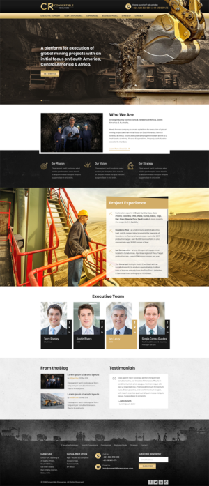 Web Design by RupalTechno for Convertible Resources FZ LLC | Design: #19033965