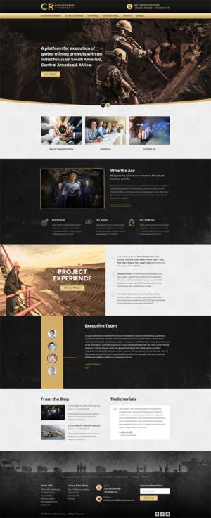 Web Design by RupalTechno for Convertible Resources FZ LLC | Design: #19035918