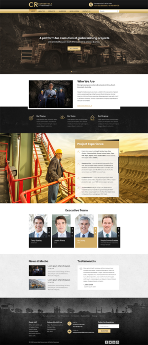 Web Design by RupalTechno for Convertible Resources FZ LLC | Design: #19035919