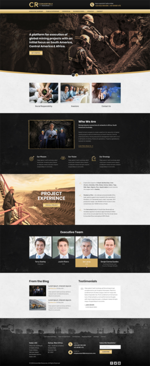 Web Design by RupalTechno for Convertible Resources FZ LLC | Design: #19036332