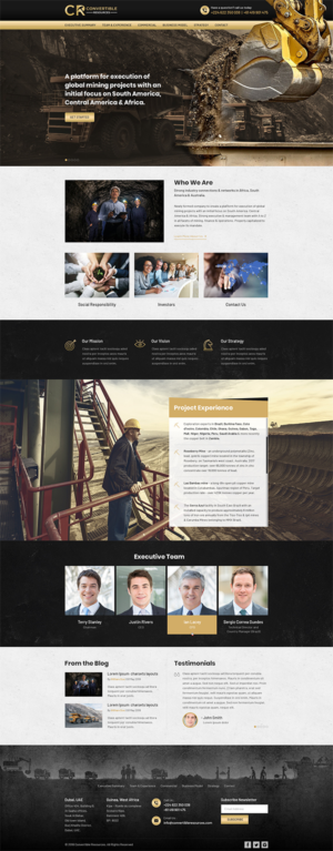 Web Design by RupalTechno for Convertible Resources FZ LLC | Design: #19036333