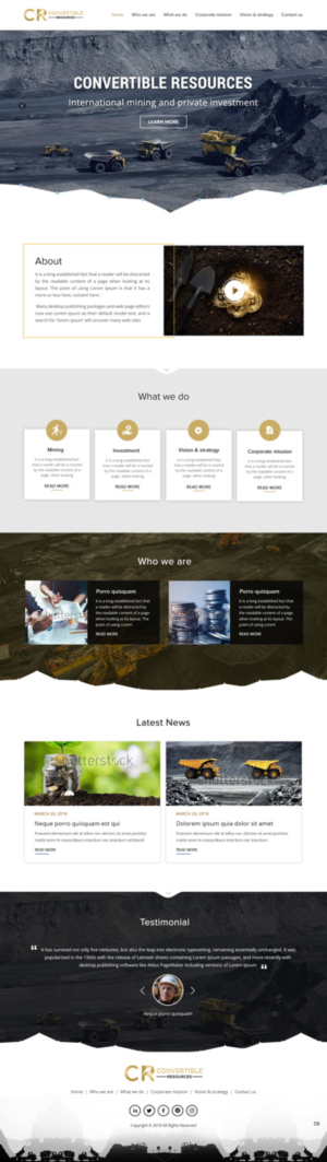Web Design by pb for Convertible Resources FZ LLC | Design: #19032080