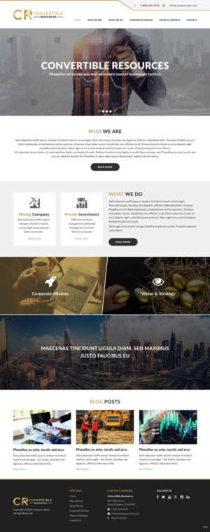 Web Design by pb for Convertible Resources FZ LLC | Design: #19032094