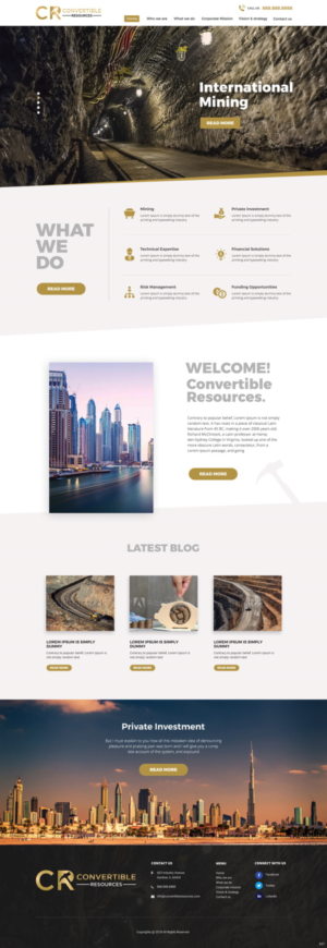 Web Design by pb for Convertible Resources FZ LLC | Design: #19032105