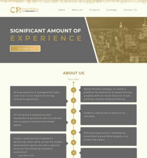 Web Design by Inon Antebi
